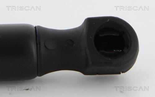 Vérin (Vérin de hayon) Triscan A/S ref. 8710 18237