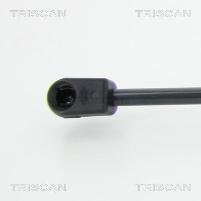 Vérin (Vérin de hayon) Triscan A/S 8710 18239