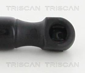 Vérin (Vérin de hayon) Triscan A/S 8710 18239