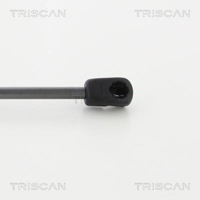Muelle neumático Triscan A/S 8710 18240