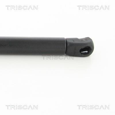Vérin (Vérin de hayon) Triscan A/S 8710 18241