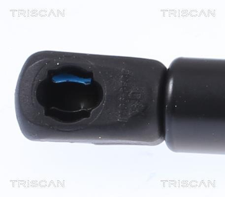 Muelle neumático Triscan A/S ref. 8710 18244