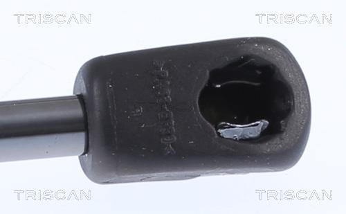 Muelle neumático Triscan A/S ref. 8710 18244
