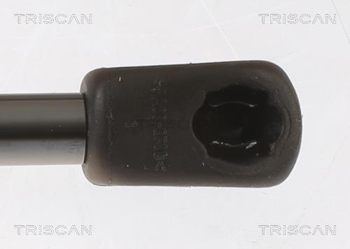 Vérin (Vérin de hayon) Triscan A/S ref. 8710 18245