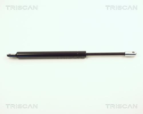 Cilindro Triscan A/S 8710 2001