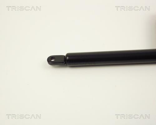 Cilindro Triscan A/S 8710 2001