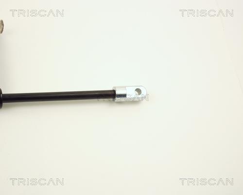 Cilindro Triscan A/S 8710 2001
