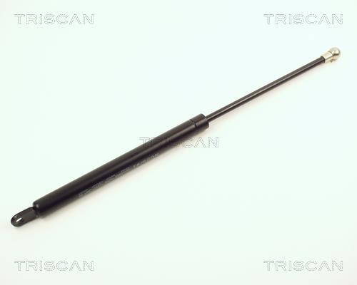 Cilindro Triscan A/S ref. 8710 2002