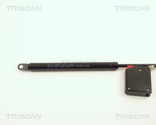 Cilindro Triscan A/S ref. 8710 2002