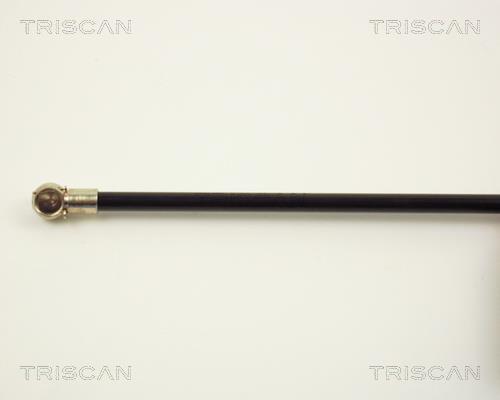 Cilindro Triscan A/S ref. 8710 2002