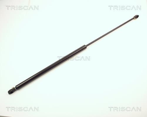 Vérin (Vérin de hayon) Triscan A/S ref. 8710 2004