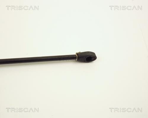 Vérin (Vérin de hayon) Triscan A/S ref. 8710 2004