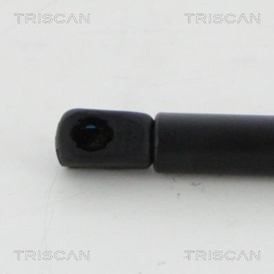Vérin (Vérin de hayon) Triscan A/S ref. 8710 20105