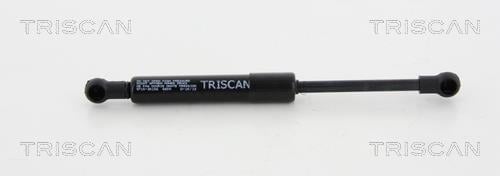 Vérin (Vérin de hayon) Triscan A/S ref. 8710 20106