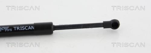 Vérin (Vérin de hayon) Triscan A/S ref. 8710 20106