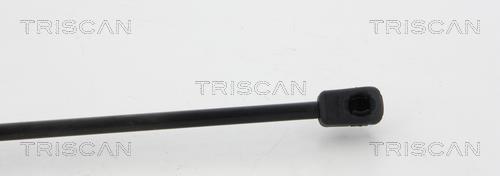 Vérin (Vérin de hayon) Triscan A/S 8710 20108