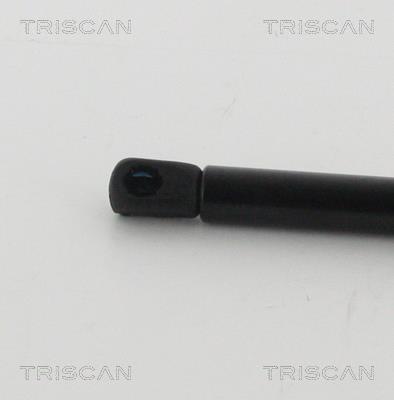 Cilindro Triscan A/S 8710 20111