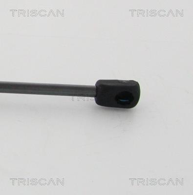 Cilindro Triscan A/S 8710 20111