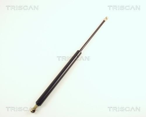 Vérin (Vérin de hayon) Triscan A/S 8710 20200