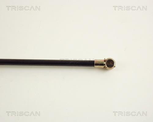 Vérin (Vérin de hayon) Triscan A/S 8710 20200