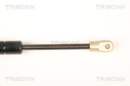 Vérin (Vérin de hayon) Triscan A/S 8710 20202