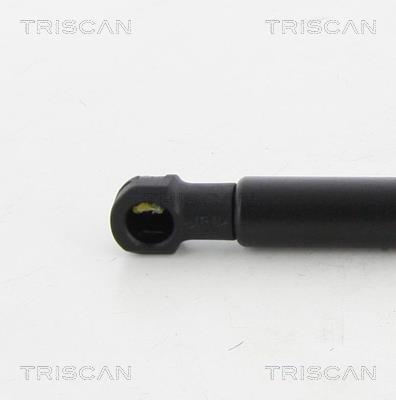 Vérin (Vérin de hayon) Triscan A/S 8710 20203