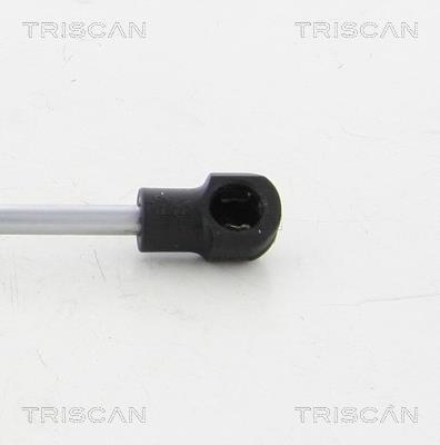 Vérin (Vérin de hayon) Triscan A/S 8710 20203