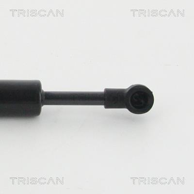 Vérin (Vérin de hayon) Triscan A/S 8710 20204