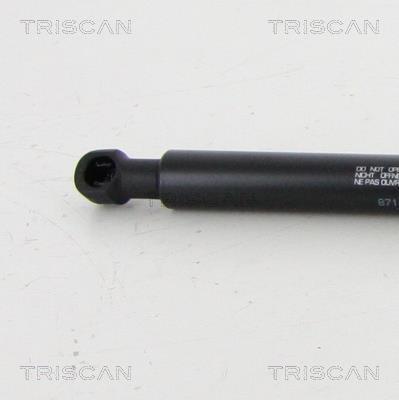 Vérin (Vérin de hayon) Triscan A/S 8710 20209