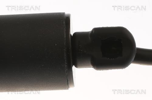 Vérin (Vérin de hayon) Triscan A/S 8710 20301
