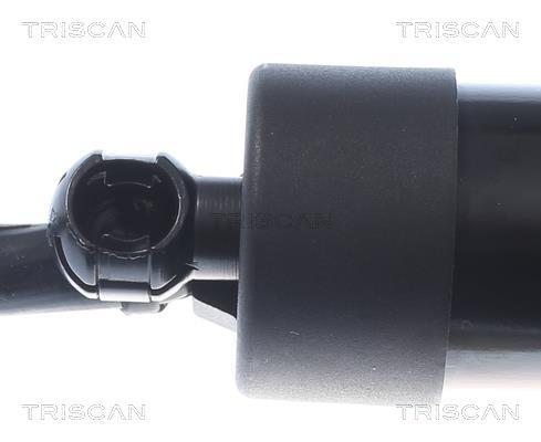 Cilindro Triscan A/S 8710 20303
