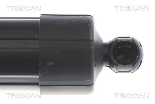 Cilindro Triscan A/S 8710 20303