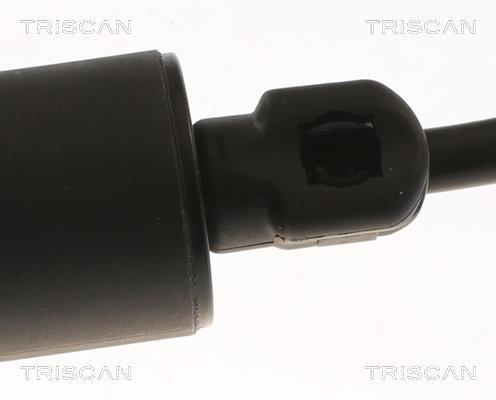 Vérin (Vérin de hayon) Triscan A/S 8710 20304