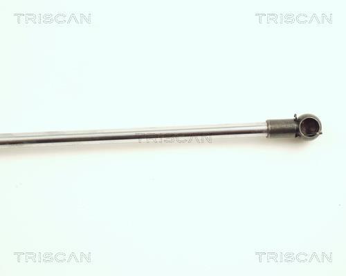 Vérin (Vérin de hayon) Triscan A/S ref. 8710 21202