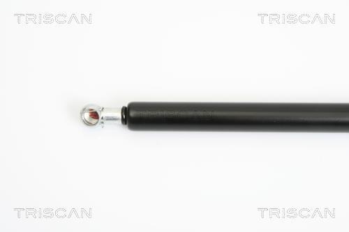Vérin (Vérin de hayon) Triscan A/S ref. 8710 21206