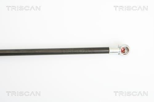 Vérin (Vérin de hayon) Triscan A/S ref. 8710 21206