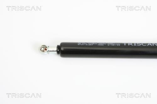 Cilindro Triscan A/S ref. 8710 21207