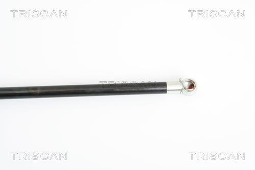 Cilindro Triscan A/S ref. 8710 21207
