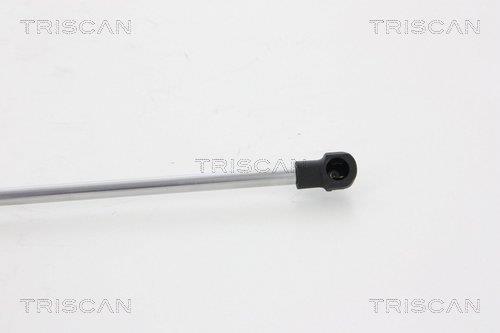 Vérin (Vérin de hayon) Triscan A/S 8710 21208