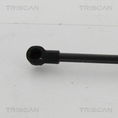 Vérin (Vérin de hayon) Triscan A/S ref. 8710 21210