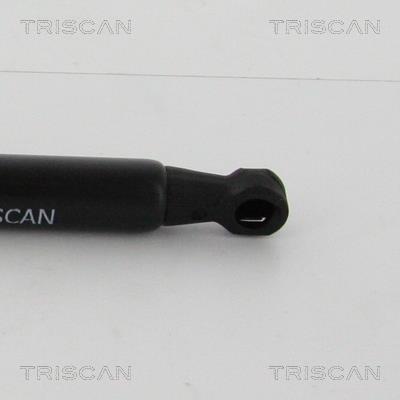 Vérin (Vérin de hayon) Triscan A/S ref. 8710 21210