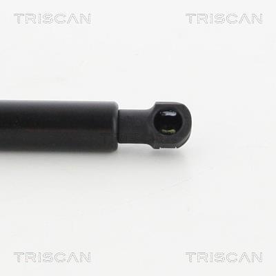 Vérin (Vérin de hayon) Triscan A/S 8710 21212