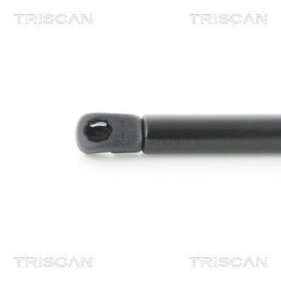 Vérin (Vérin de hayon) Triscan A/S 8710 21213