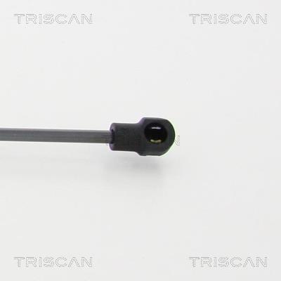 Vérin (Vérin de hayon) Triscan A/S 8710 21214