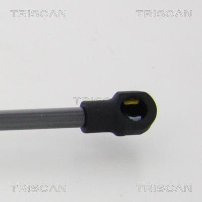 Vérin (Vérin de hayon) Triscan A/S 8710 21215