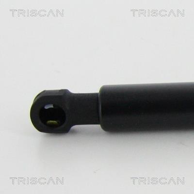 Vérin (Vérin de hayon) Triscan A/S 8710 21215