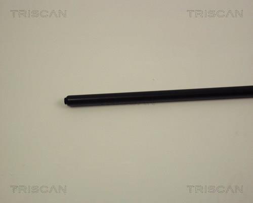 Cilindro Triscan A/S 8710 2302