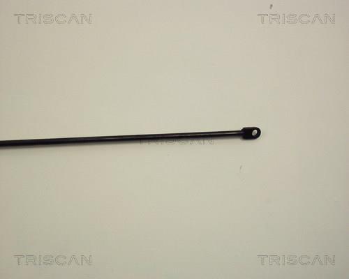 Cilindro Triscan A/S 8710 2302