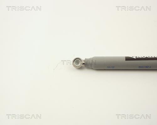 Amortisseur de tringlerie, système d'injection de diesel Triscan A/S ref. 8710 2309