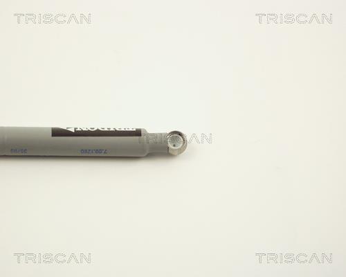 Amortisseur de tringlerie, système d'injection de diesel Triscan A/S ref. 8710 2309